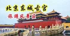 操BBBB视频免费中国北京-东城古宫旅游风景区